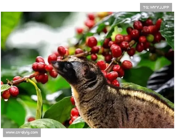 李林强倾情推荐海南清补凉邀世界游客共品甜蜜风味体验热带文化魅力